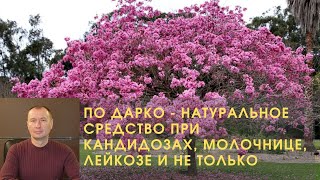 ПО ДАРКО - НАТУРАЛЬНОЕ СРЕДСТВО ПРИ КАНДИДОЗАХ, МОЛОЧНИЦЕ, ЛЕЙКОЗЕ И НЕ ТОЛЬКО