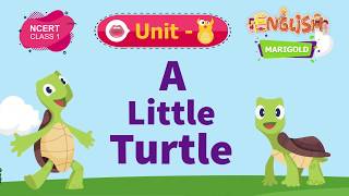 A Little Turtle - Marigold Unit 8 - NCERT English Class 1 [Listen]