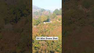 DJI Mini Drone Shot