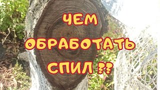 Как спасти дерево после обрезки? Секретный метод садовода!