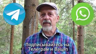 Переезд с Ютуба : подписывайтесь на Телеграм, чтобы не потеряться