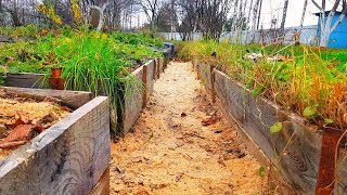 МУЛЬЧИРОВАНИЕ ПОЧВЫ древесными опилками в огороде