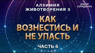 Как вознестись и не упасть #АлхимияЖивотворения3 #Гарат #дух #ЖивыеСеминары