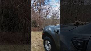 vines vs. truck winch