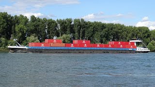 Shipspotting Speyer Rhine - Inland Cargo Vessels Tanker & Containership - 20.08.2021