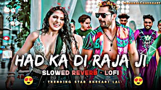 Had kar di raja ji slowed Reverb - lofi | Khesari lal yadav | MahakalChaudhary