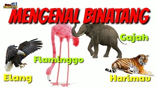 MENGENAL BINATANG ELANG FLAMINGGO GAJAH DAN HARIMAU (SERI A-Z)