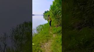 Fishing in River #fishingshorts