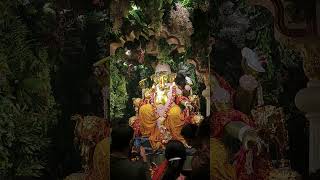 Ganpati bappa morya #ganeshchaturthi #ganpati #ganpatibappamorya #viralvideo #marathi #bappamoryare