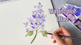 Paint a Stunning Watercolor Lilac Using Easy Watercolor Techniques ( Turn on captions )