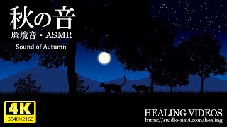 【環境音・ASMR】秋を感じる心地よい音／鈴虫とコオロギ、フクロウが秋を感じさせてくれます。作業用・勉強用・睡眠時用BGMにどうぞ。（途中広告は入れていません）