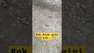 kerjain teman tidur 🤭🥰 #fypシ゚viral #trendingshorts #sorotan #lucu #lawakh #funny #komedi