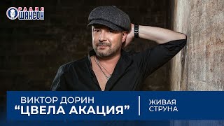 Виктор Дорин - Цвела акация (Радио Шансон live)