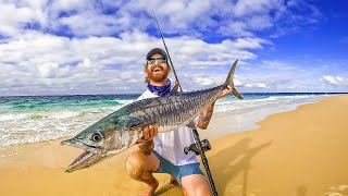 Beach Fishing with Live Baits