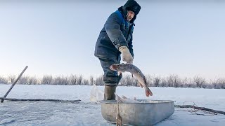 Как живет рыбак на Крайнем Севере. Зимняя рыбалка на щуку 2021. Рыбалка сетями. Азовы здесь тихие