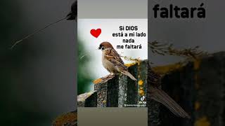 Yo te doy gracias por todo mi amado DIOS PADRE TODOPODEROSO.💓.Amén....