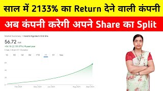 Harshil Agrotech Ltd Share Latest News Today Q 1 2025 Result