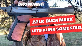 The Best 22 lr Pistol on the market? Lets find out