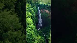 Beautiful waterfall in world best veiw#shorts #nature