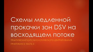 Практикум 3, часть 3 - Схемы медленная прокачки зон DSV на восходящем потоке