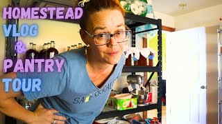 Organized Pantry & More Sourdough | Hamakua Homestead Vlog