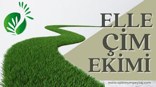 ÇİM ANSİKLOPEDİSİ | ELLE ÇİM EKİMİ NASIL YAPILIR? ÇİM NASIL EKİLİR? ÇİM EKME PÜF NOKTALARI