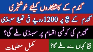 How to get subsidy on wheat seed | Complete detail | AGRICULTURE WORLD