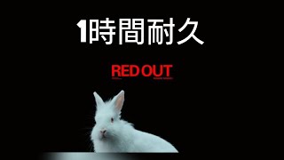 米津玄師  RED OUT  1時間耐久　【高音質】