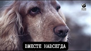 Вместе навсегда // Спутники охотника // Серия 1