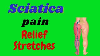 Top 4 Sciatica stretches & exercises.