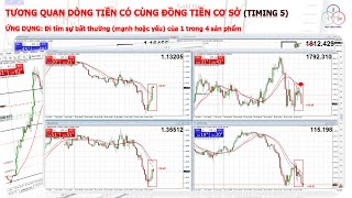 Bài 7.6 Timing 5 Tương quan dòng tiền có cùng đồng tiền cơ sở Phần cuối