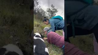 COME NASCE UN VIDEO CAPRAECAVOLI #foraging #garden #herb #plants #mountains #mountain  #nature #fun