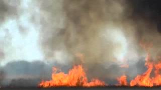 Fire Tornadoes at Cheyenne Bottoms WA