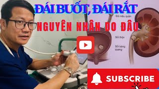 ĐÁI BUỐT, ĐÁI RẮT, BÍ ĐẠI TIỆN… NGUYÊN NHÂN DO ĐÂU?