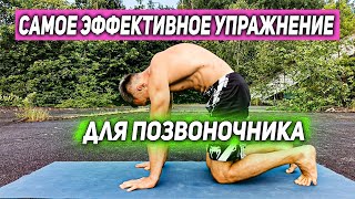 КОШКА | Самое эффективное упражнение для ПОЗВОНОЧНИКА