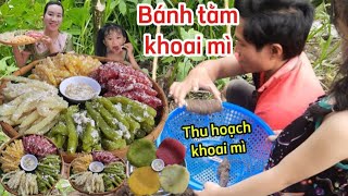 Thu hoạch khoai mì nhà trồng dù hơi thất thu nhưng làm món bánh tầm khoai mì dẻo dai ngon quá xá.