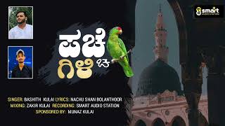 Paccha gili | EID MILAD SONG | BASITH KULAI | NACCHU SHAN BOLANTHOOR #eidmiladunnabi