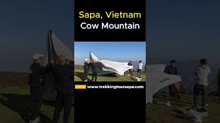 Sapa, Vietnam Cow Mountain