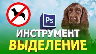 Инструмент выделение в фотошопе ПРАКТИКА