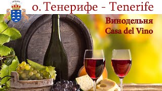 Тенерифе, день 11-й: Винодельня Casa del Vino   |  Tenerife, España - Spain