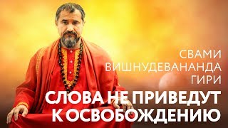 Отрывок из сатсанга - "Слова не приведут к Освобождению". Свами Вишнудевананда Гири