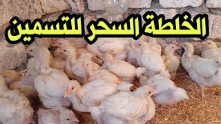 الخلطة السحر للاوزان والأحجام للفراخ البيضاء هتخلي فراخك توصل ٣ كليو في ....