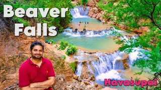 Beaver Falls: Epic water falls in Havasupai | ಕನ್ನಡ