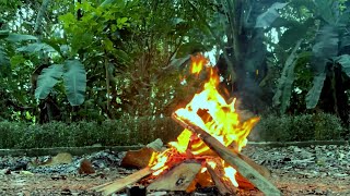 Beautiful Viasna Crackling Campfire In The Jungle - Calming Remove Depression