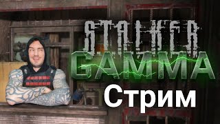 Играем в #STALKER Anomaly GAMMA. Часть 1: Начало, Кордон