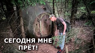 Опача!!! Древний лес выкинул для меня несколько подарков... нормально так...