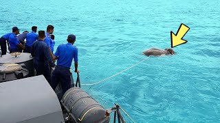 Что-то плавает в воде. Моряки кричат ​​от ужаса, когда понимают, что это такое