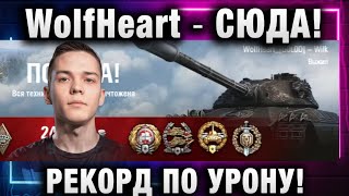 WolfHeart ★ СЮДА! РЕКОРД ПО УРОНУ!