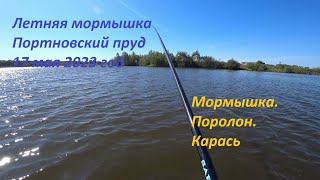 Летняя мормышка. Портновский пруд.  Карась на мормышку с поролоном.