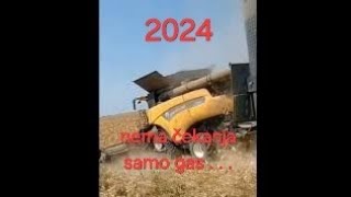 žetva kukuruza  avgust 2024.